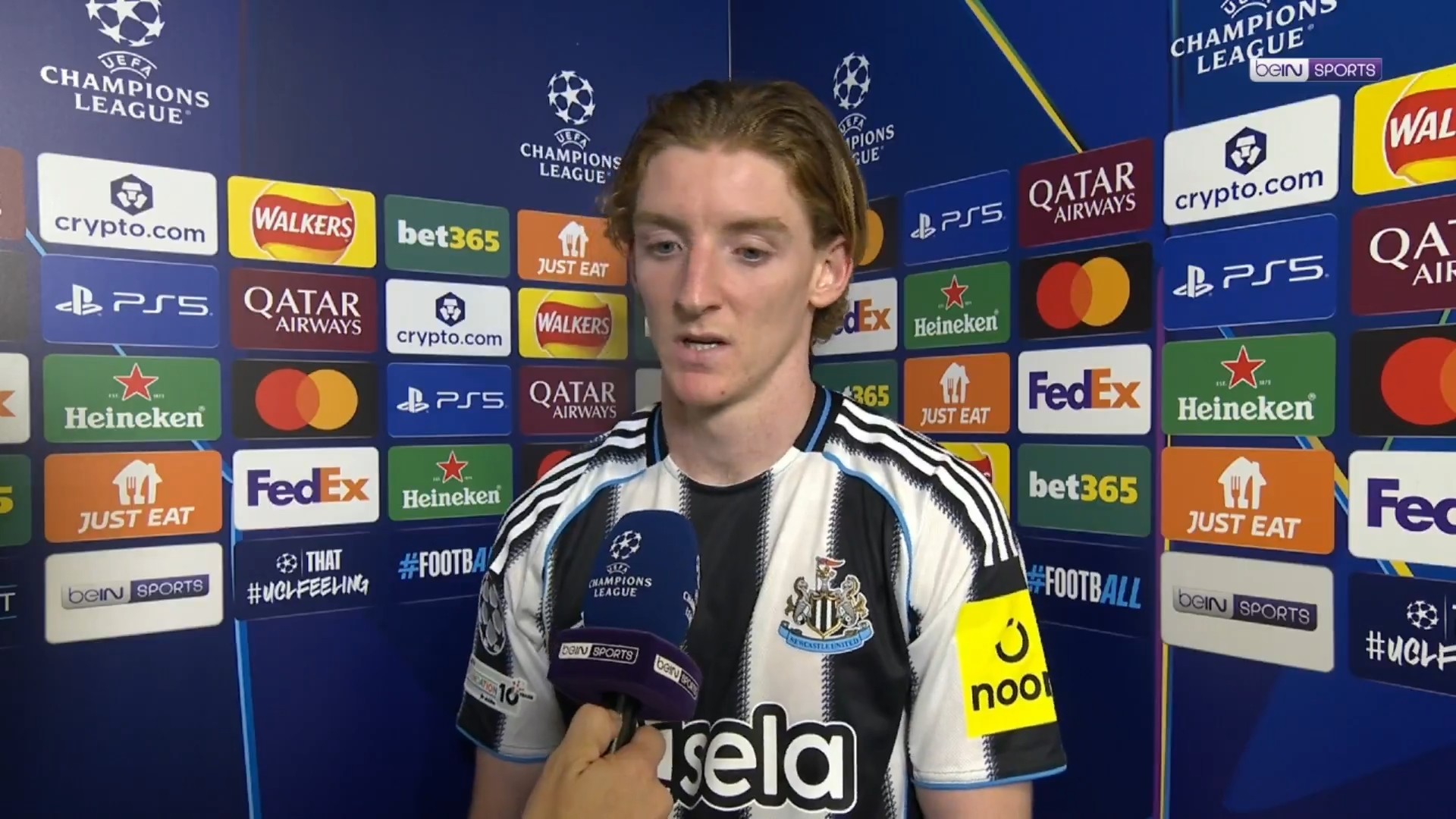 为他感到高 为他感到高