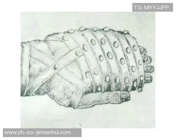 古罗马的拳击手套出土，上面竟然有铁钉，估量正常人挨不过三拳